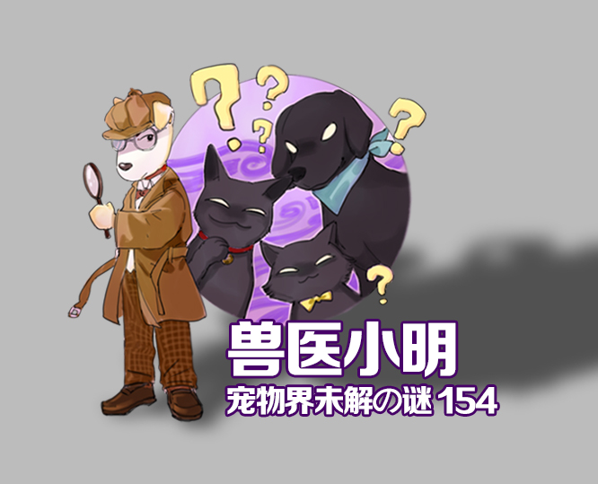 给狗狗穿衣服为什么会咬主人,给狗狗穿衣服不算爱狗吗