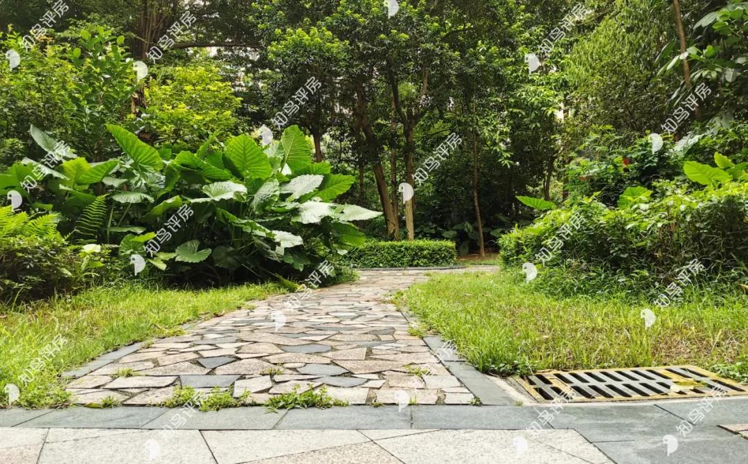 信义怡翠豪园评测,信义怡翠豪园楼盘