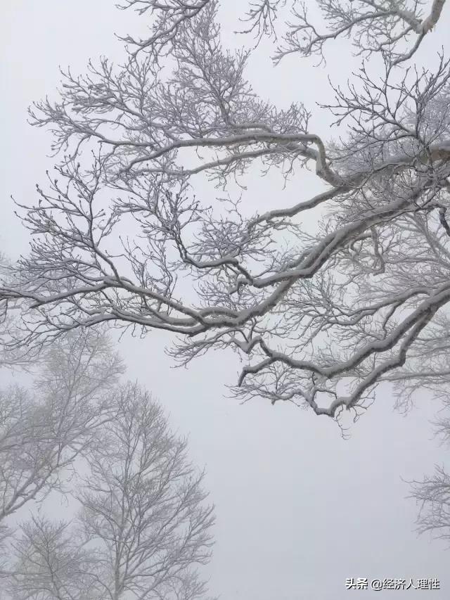 一位旅日游客,4天时间,万字长文,记录思考日本社会的崛起背后