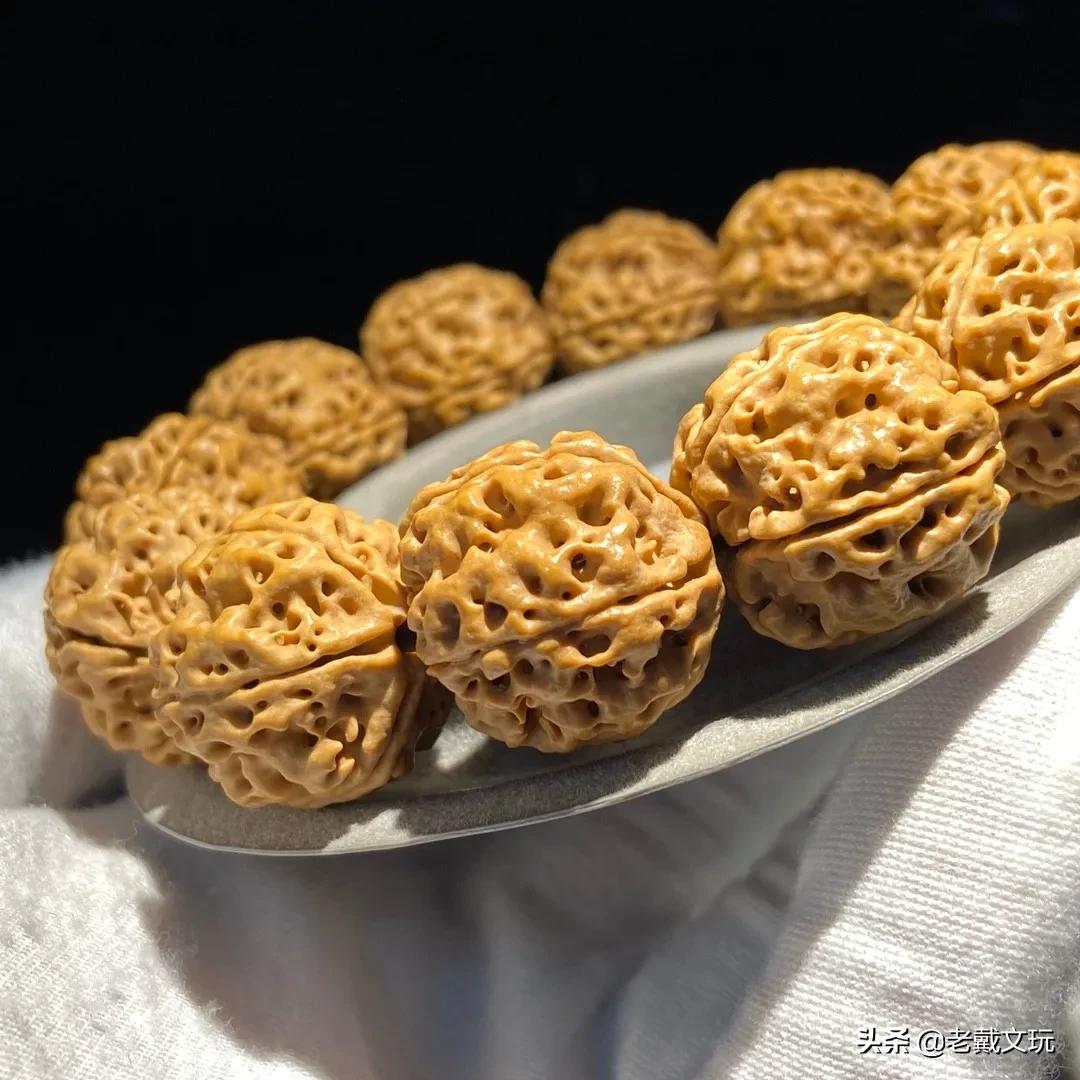 安娜大金刚来源,安娜大金刚价格