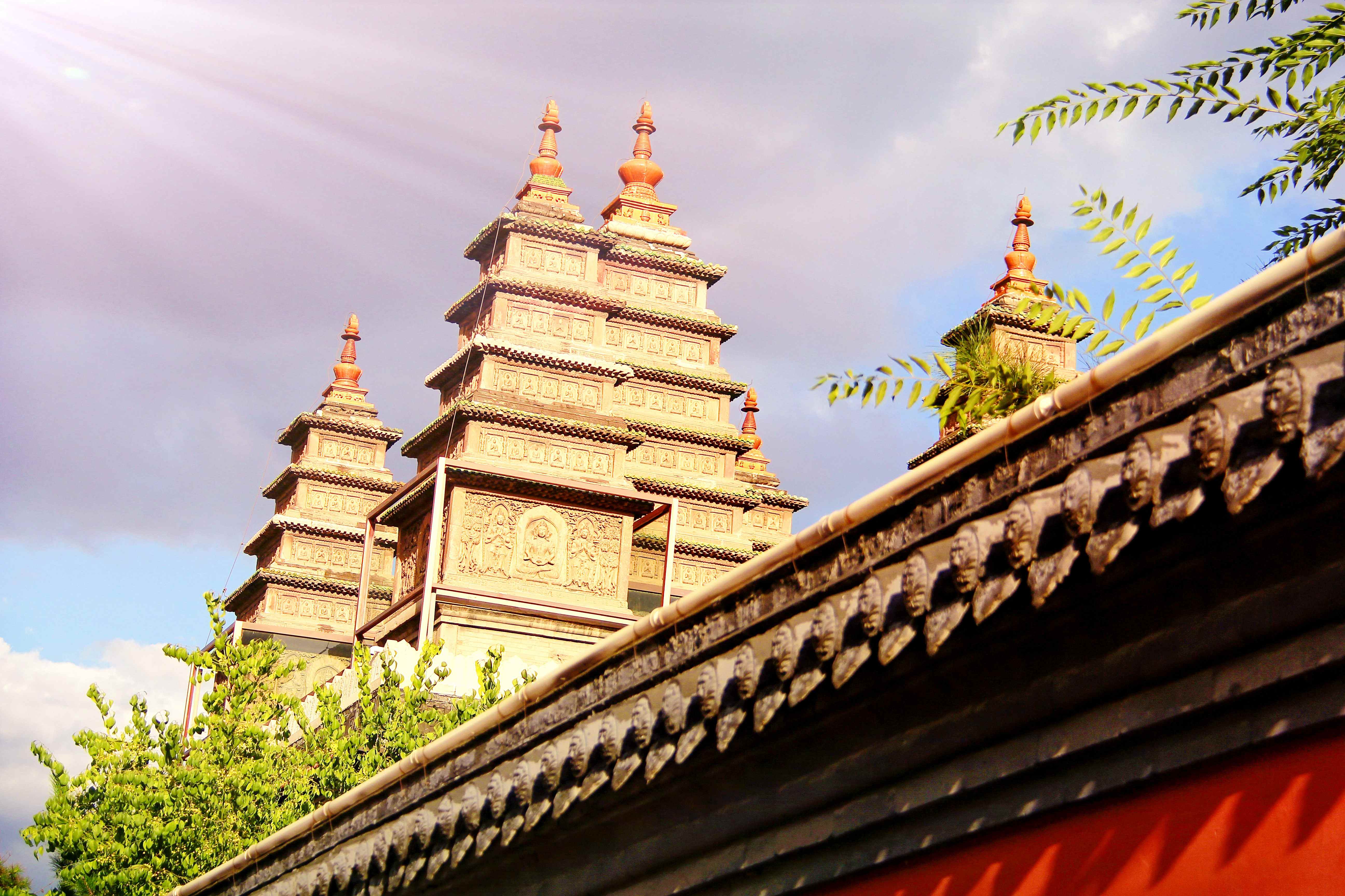 “香”约青城：当草原遇见沙漠，一座城感受两种不同的风情