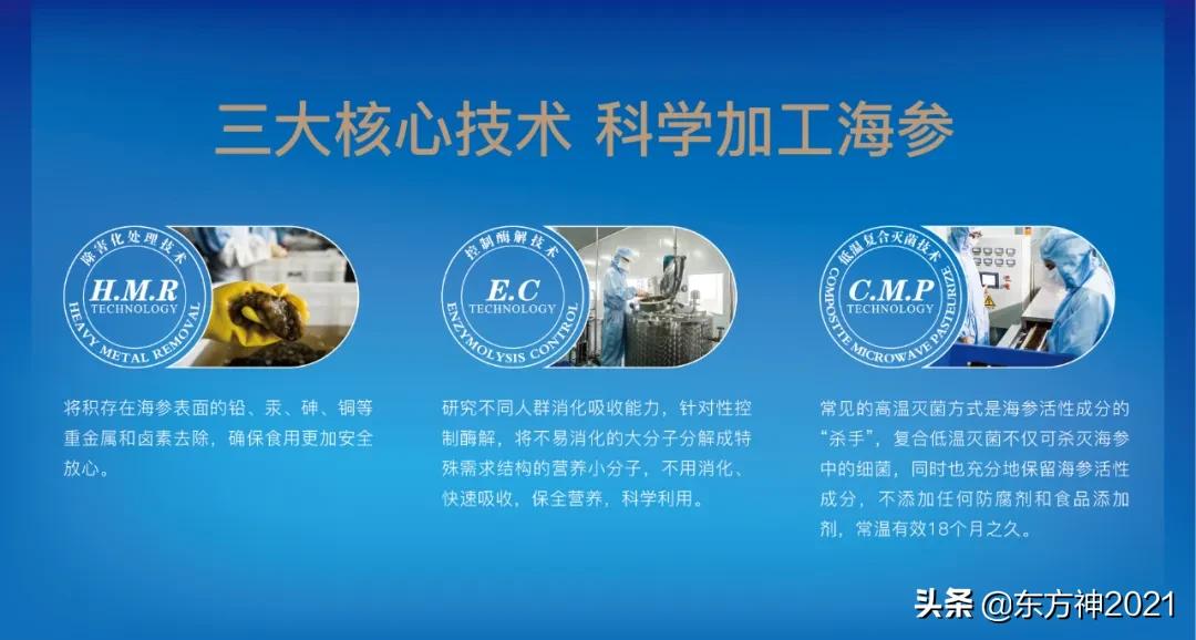 吃海参的基本知识,科学吃海参