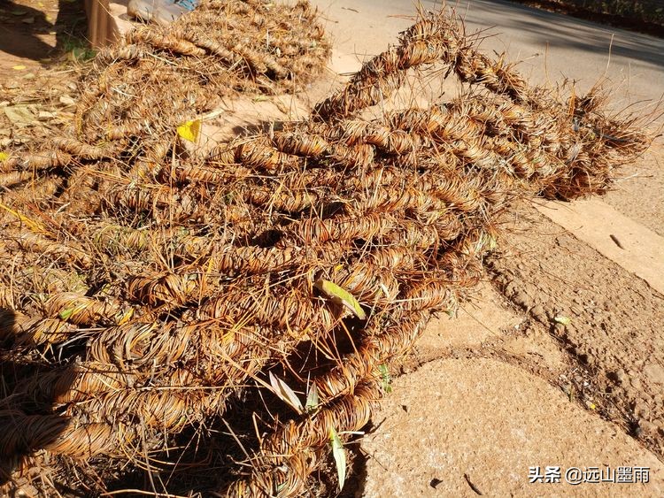 冬日阳光明媚，随走昆明松茂水库周边，遇见小村庄里的老式手工活