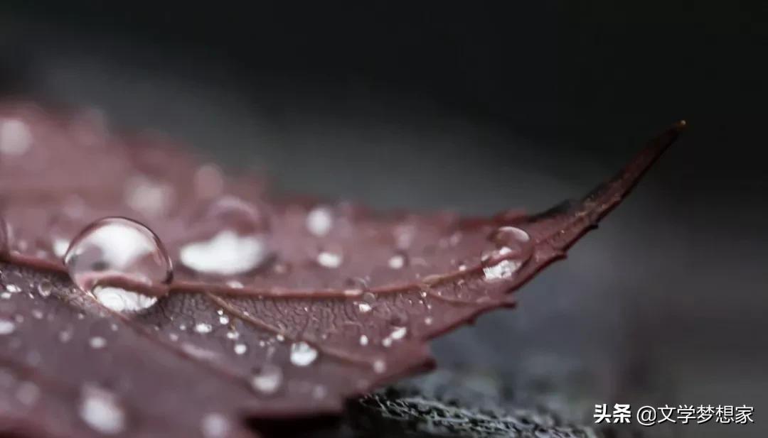 有关宝藏的优美句子,最美诗词唯美短句