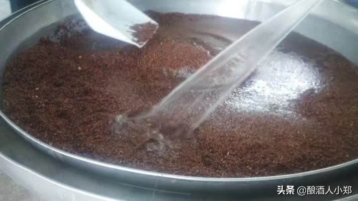 酿清香小曲酒发酵不升温怎么补救,小曲酒烧糟发霉是什么问题