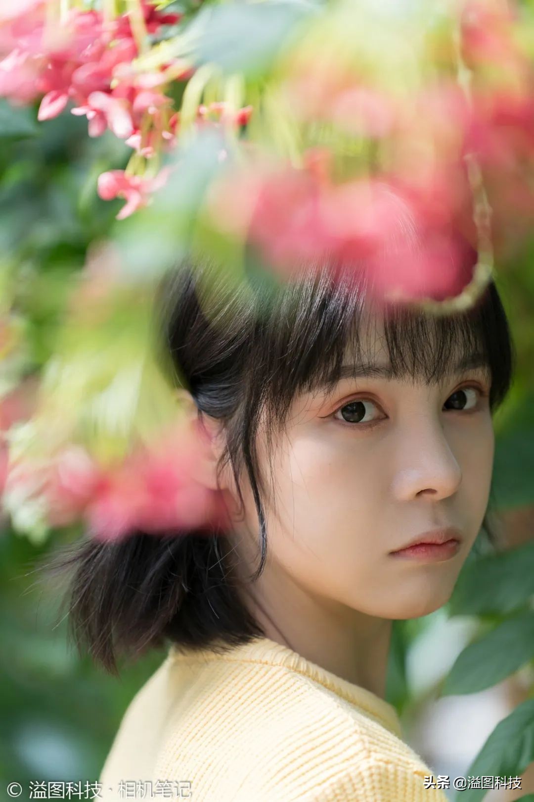 腾龙35-150f2.84.0和70-200怎么选,腾龙35-150mmf2.8拍人像