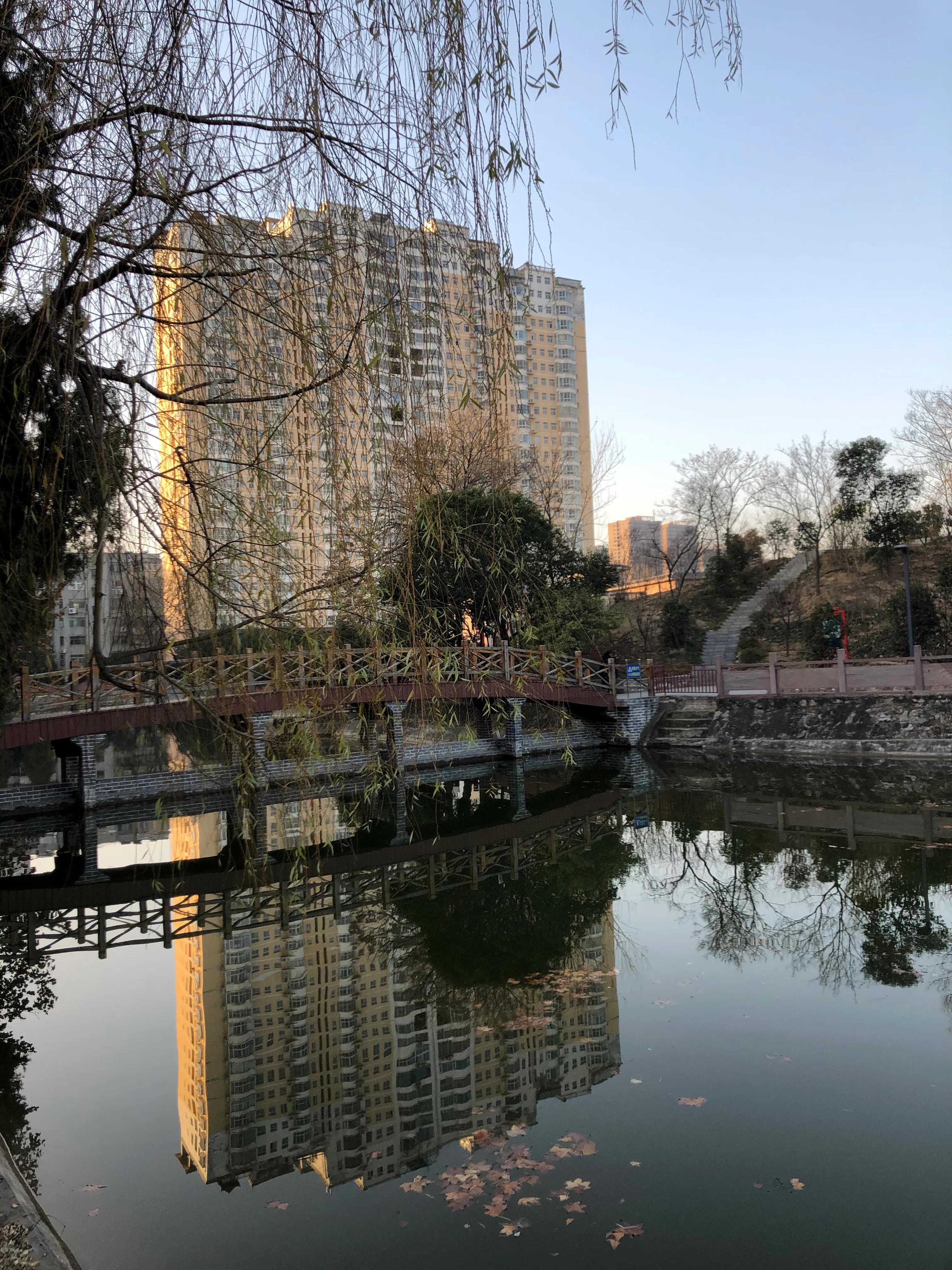 平顶山河滨公园旅游攻略,平顶山森林公园游记