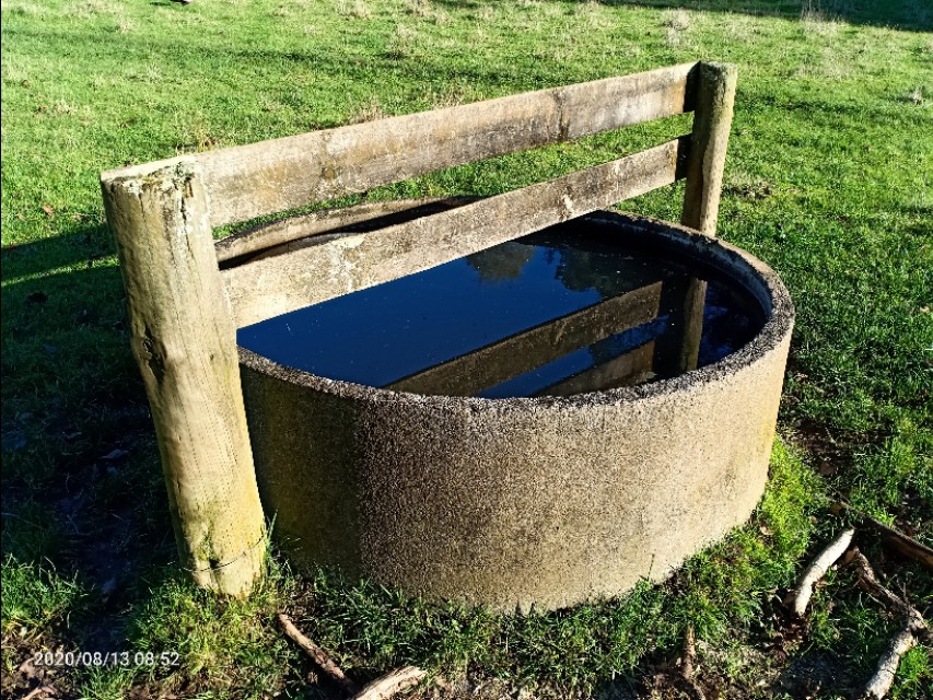 一树山,我的精神家园