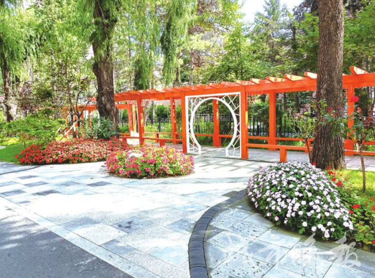 “谦园”静溢芳香吟!长春市一口袋公园吸引市民