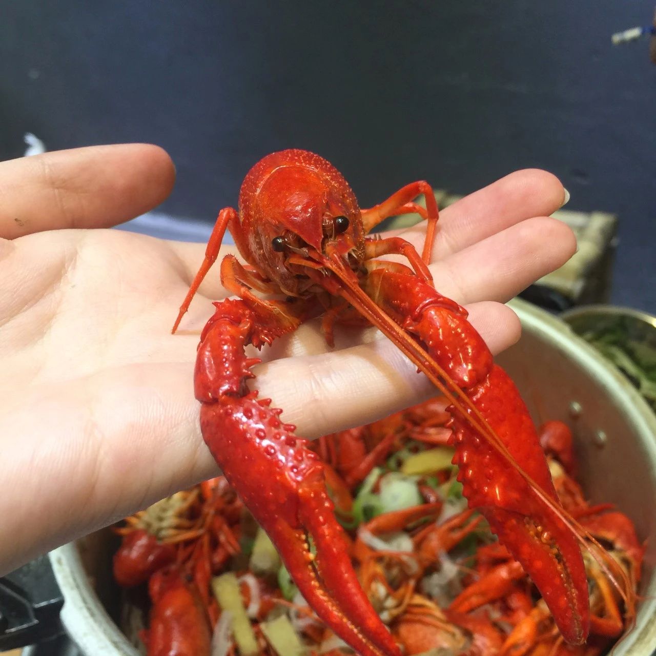 南宁美食推荐必吃龙虾,南宁最好吃的五香龙虾