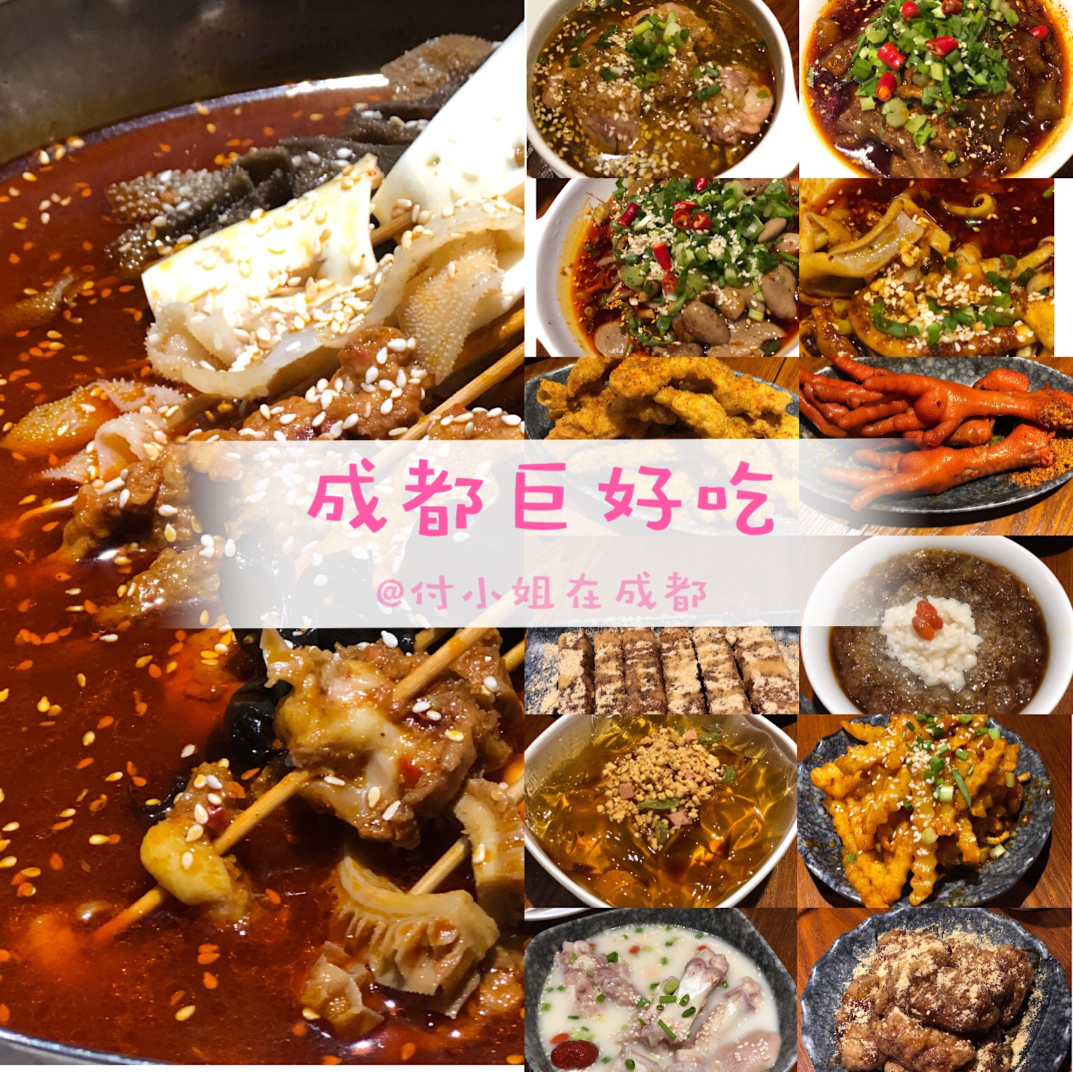 付小姐在成都自热小火锅测评,成都巨好吃苍蝇馆子