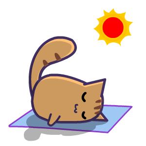 晒后背挑战,三伏天晒背胜人参