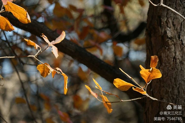 玉泉山北坞公园介绍,北坞村玉泉山