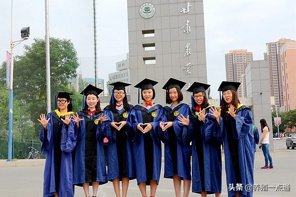 滚双宝甘肃农大,甘肃农业大学滚双宝