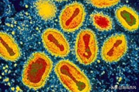 最早发明疫苗的科学家,世界上最早的牛痘接种方法