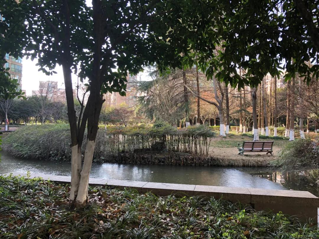 落寞！曾风靡杭州的“国际滨”一线江景房，如今许多只能卖4万+