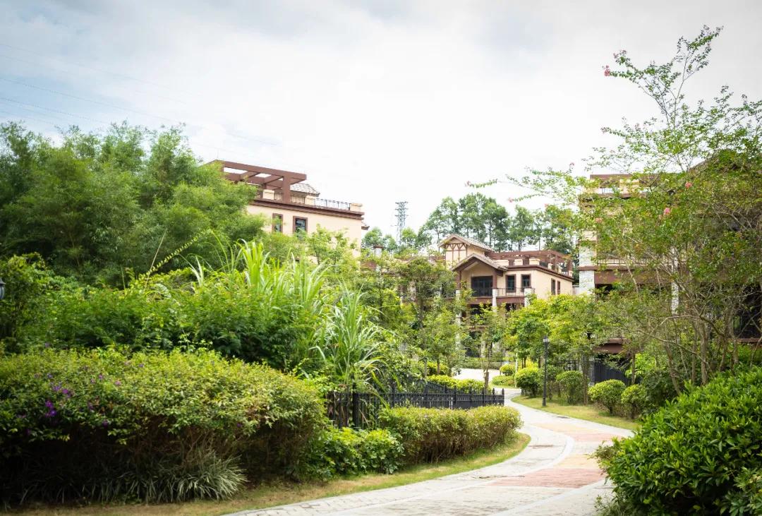 终于等到了！嵌在北回归线上的森林叠墅，惊艳“曝光”