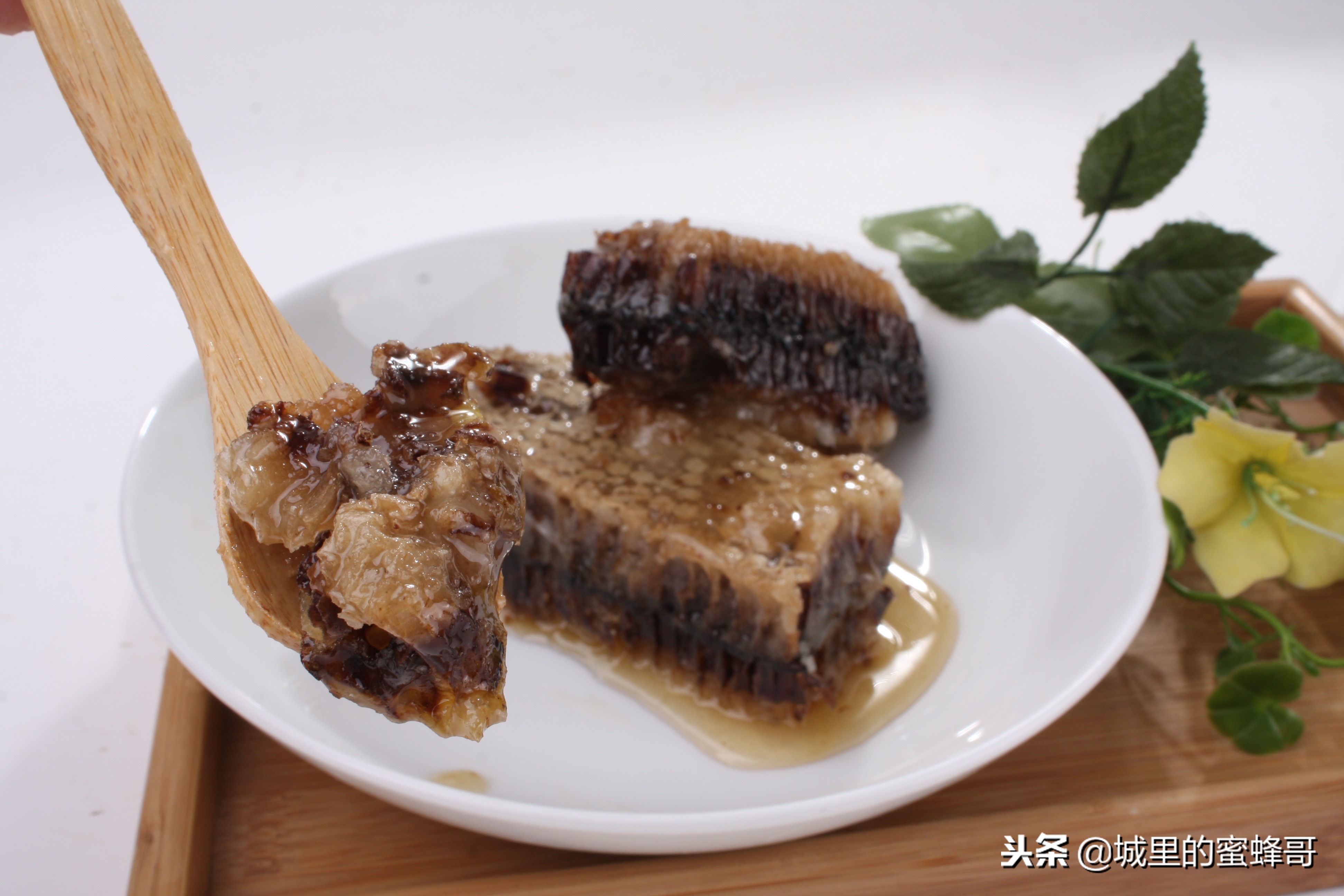 度蜜月的由来是什么意思,度蜜月的另一种说法