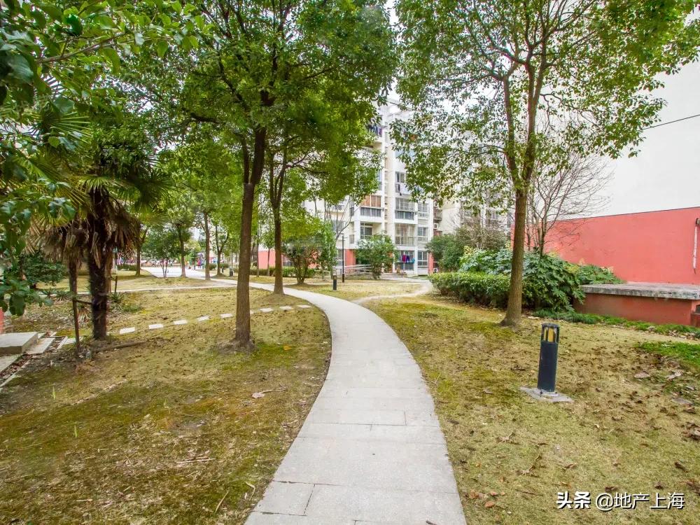 浦江成交价上涨40元是真的吗,浦江成交价多少