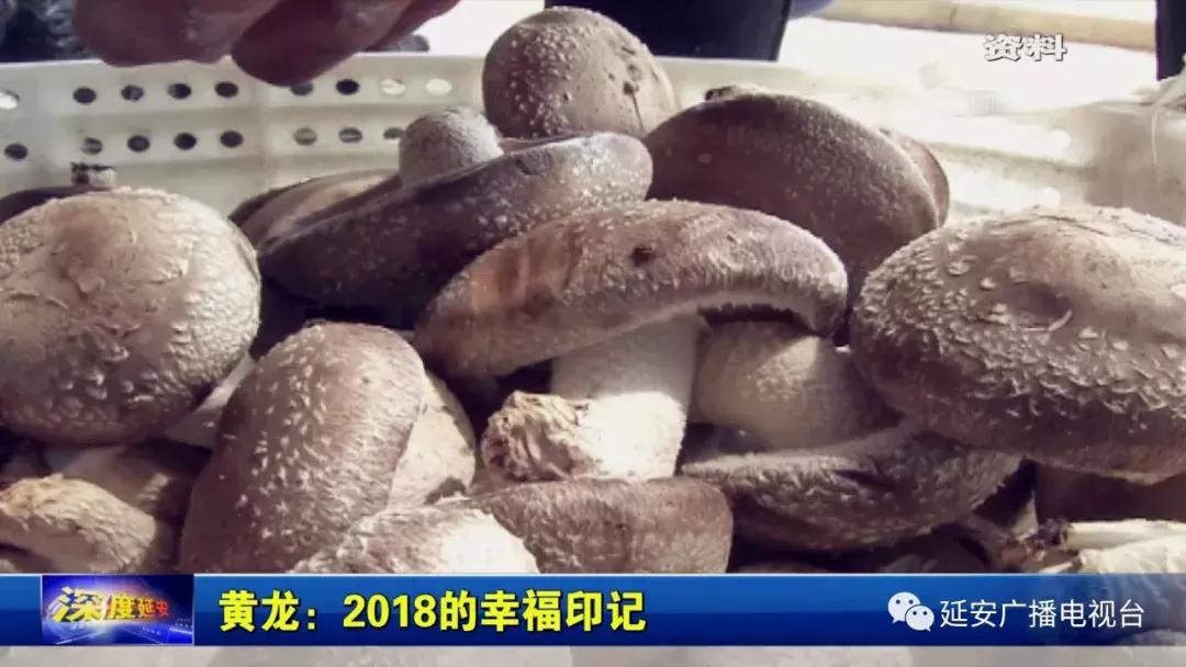 我们的2018非遗瑰宝,我们的2018好看吗