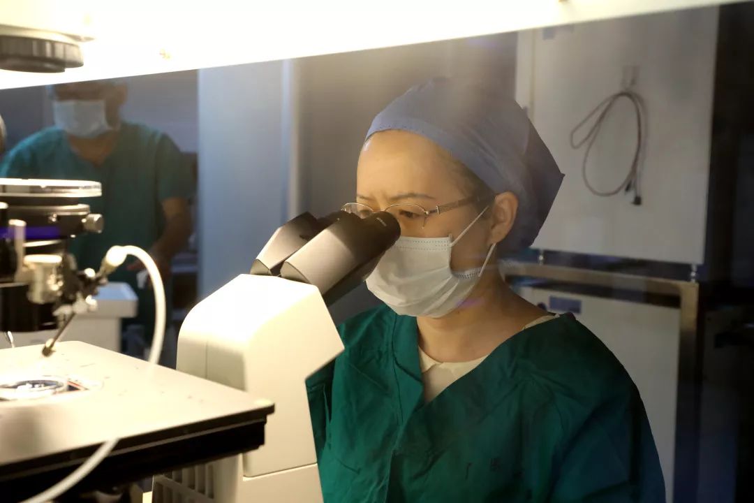 “宝贝，妈妈历经艰辛只为遇见你！”揭秘试管婴儿培育全过程