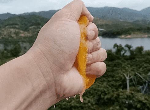 爆甜贵妃芒海南三亚,少吃点饭给榴莲留点空间