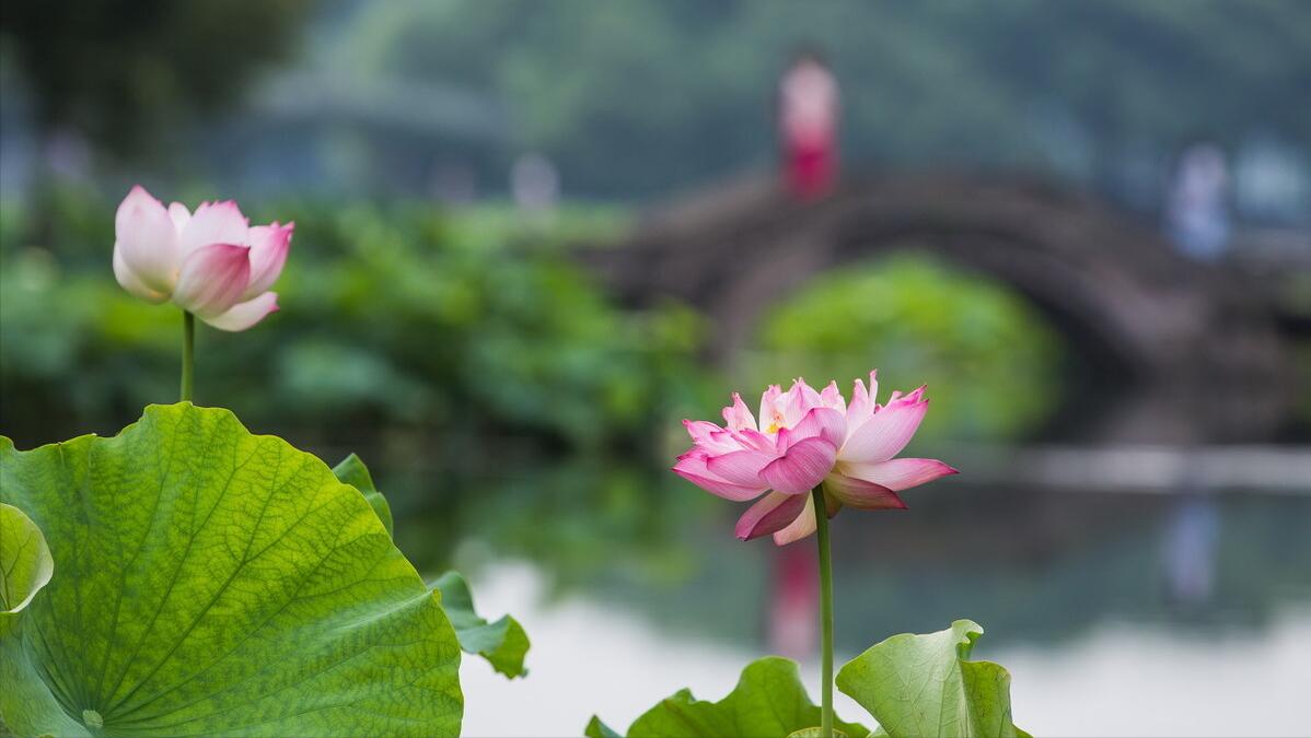 忆江南最忆是杭州是什么意思,江南忆最忆是杭州古诗带拼音