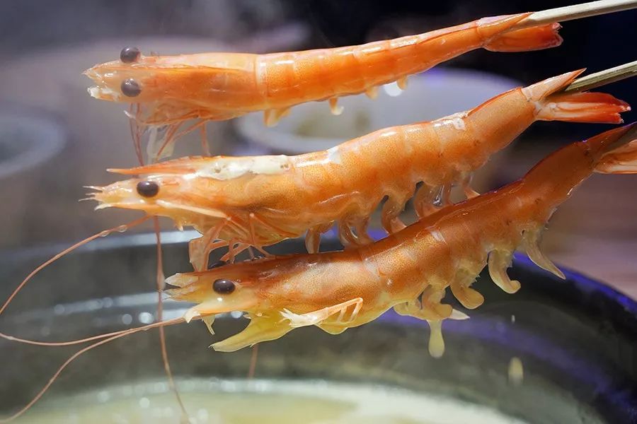 港式花胶鸡打边炉正宗做法,简易龙虾汤泡饭