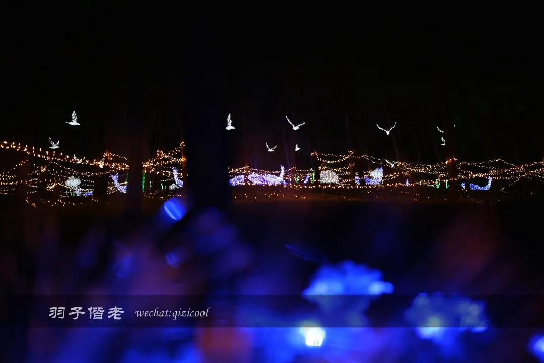 茂名最浪漫海岸在哪里,茂名浪漫海岸夕阳美如画