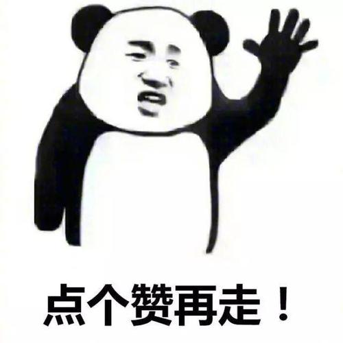 直营教练和挂靠教练,你了解培训这个行业吗