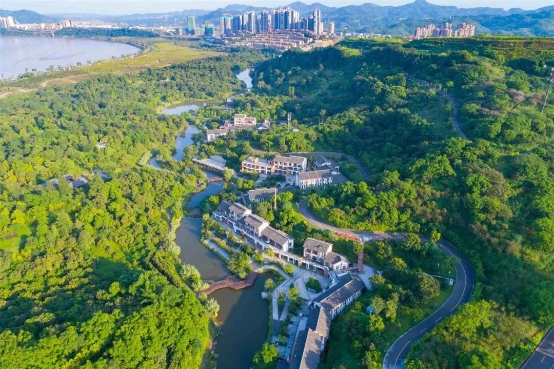 为家乡打call南通,为家乡打call重庆