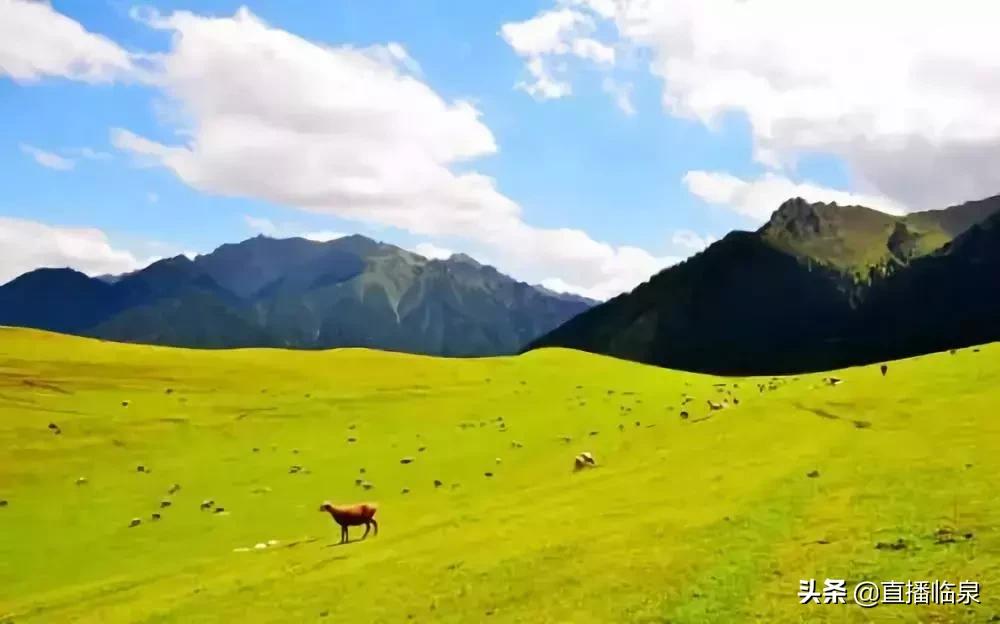 乌鲁木齐直达阜阳的火车,阜阳直达乌鲁木齐的火车