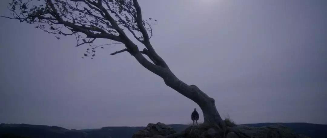 这部大尺度的女权电影，结尾的神反转让你心悸！