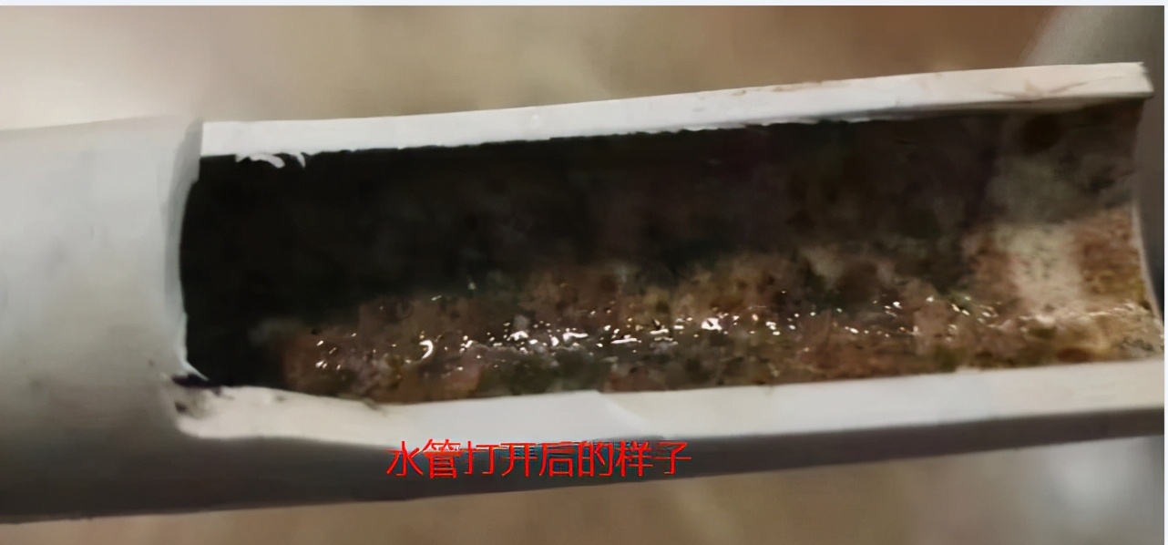 家用净水器真的管用吗？不要被销售忽悠了，不懂千万别瞎跟风