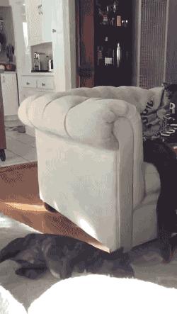 “兄弟睡觉压得胳膊都变色了，要不要叫醒他？”醒来一定很酸爽