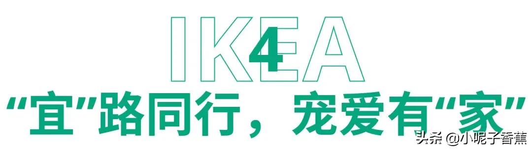 深圳人的生活现状实录,深圳买房记实录