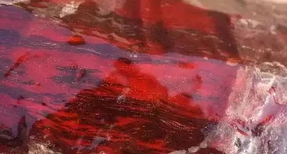 红木大全,红木家具资料