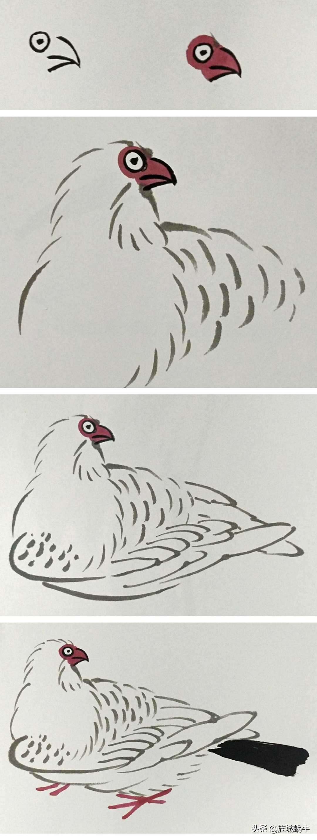 一学就会的禽鸟画法书,禽鸟的画法大全图解