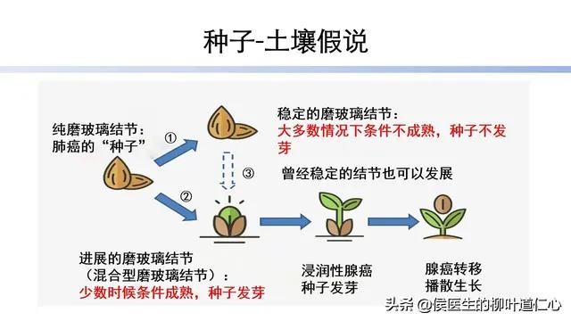 细思极恐海啸,细思极恐的海啸