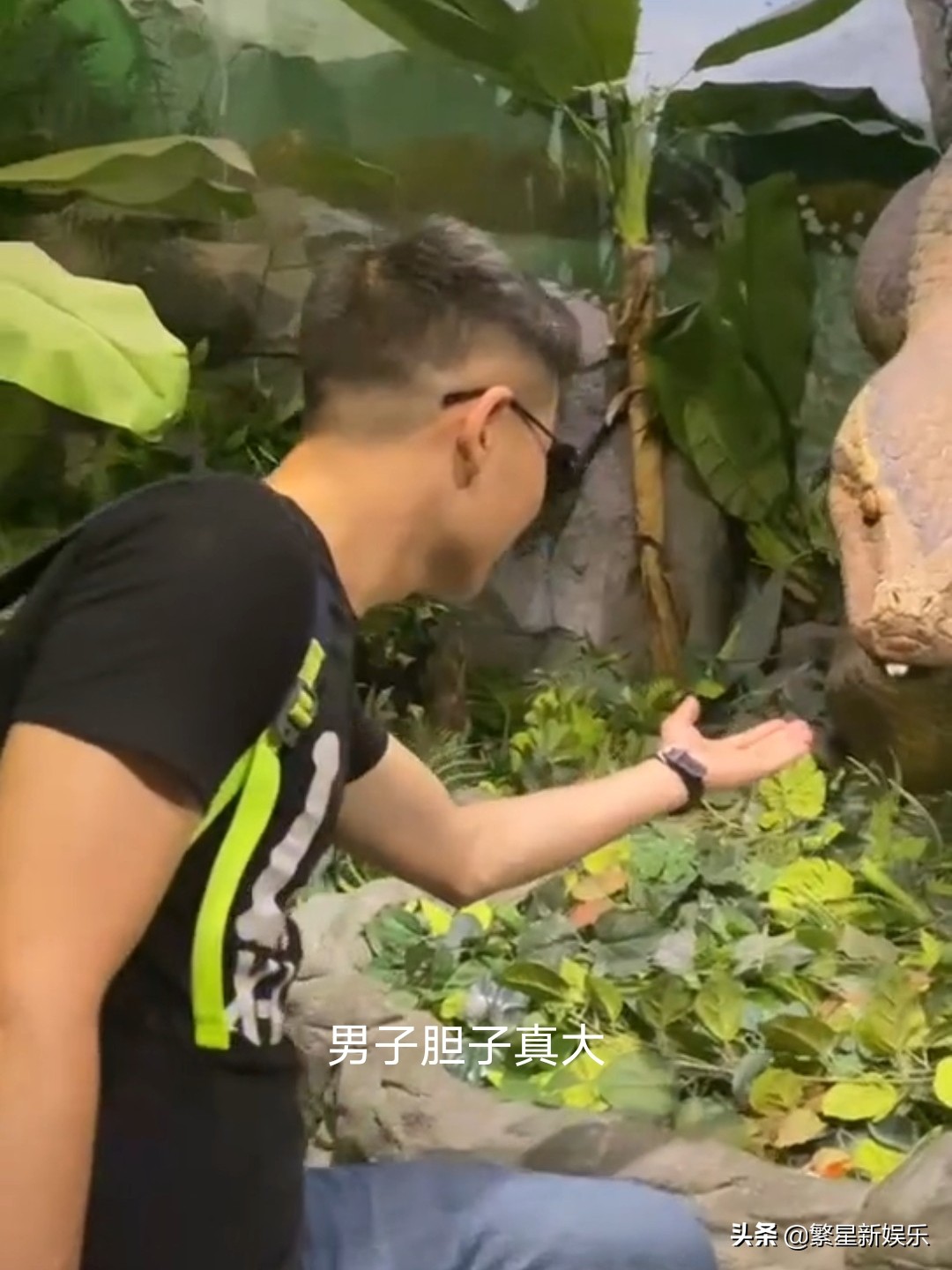 广州长隆假蛇,长隆动物园和蛇互动