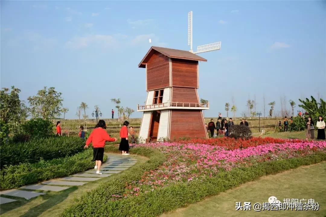 鎻槼甯傛鍩庡尯缃戠孩绀惧尯,鎻槼缃戠孩绀惧尯