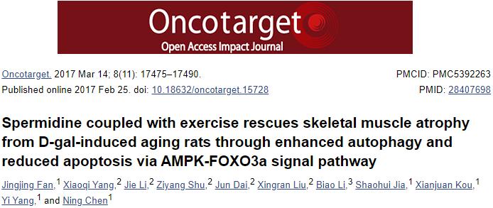 老年人就怕摔倒,老年人怕摔