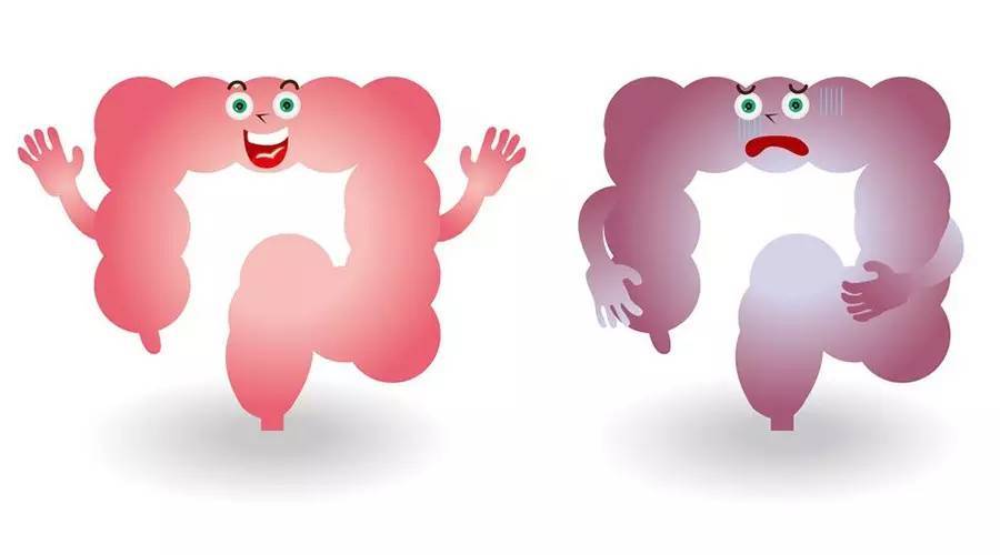 肠鸣闹肚子恶心,肠鸣频繁是什么原因引起的