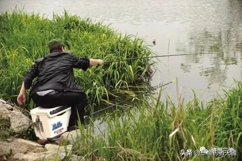 钓大鳊鱼小鳊鱼闹窝怎么办,钓鳊鱼技巧大全以及鳊鱼的介绍