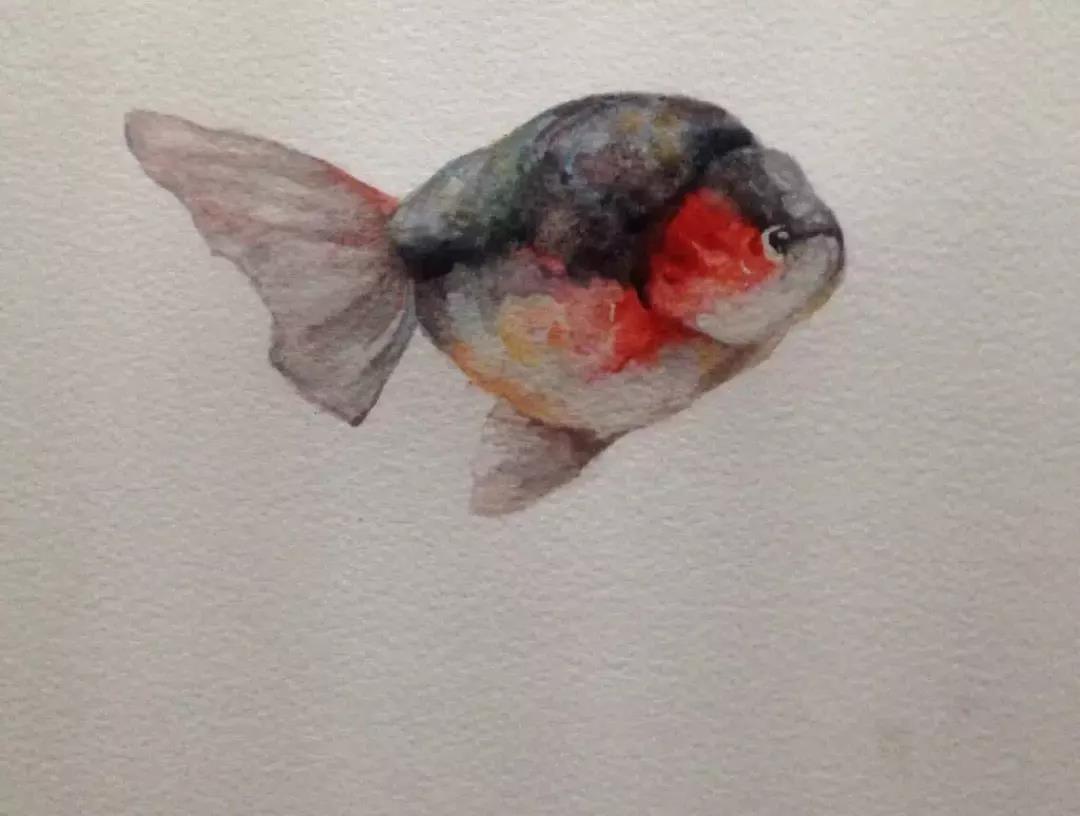 重庆超牛学霸：排名第一考入名校，大二就获10万融资，还创办珠宝公司！