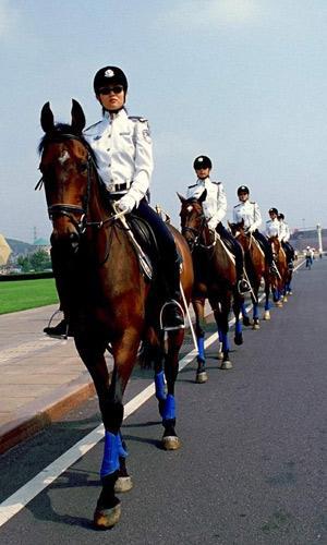 中国城市辽宁,辽宁省大连城市介绍