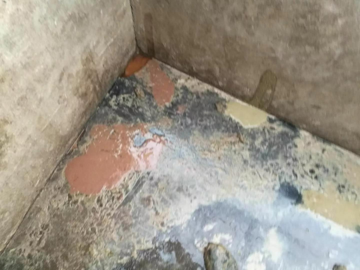 母猪胀肚,刚生仔猪拉稀母猪吃什么药