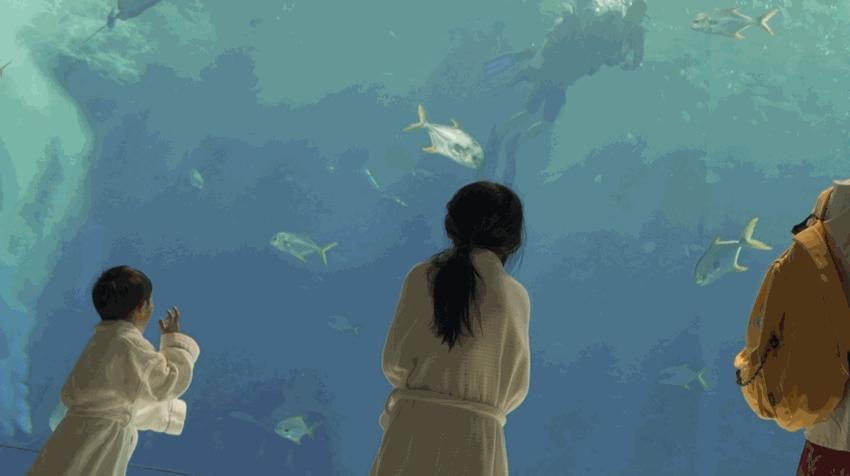 上九天揽月，下五洋捉鳖。看二孩老父亲如何带全家打卡亚特兰蒂斯