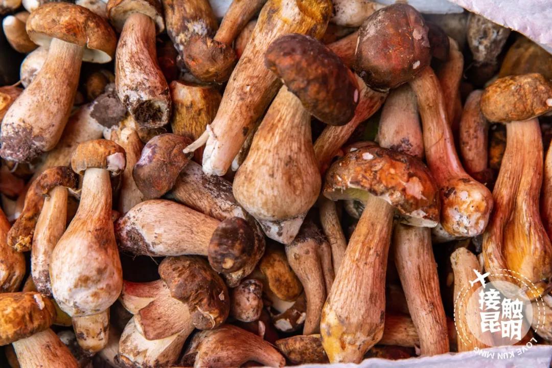 想在昆明定居,想在昆明找份好点的工作