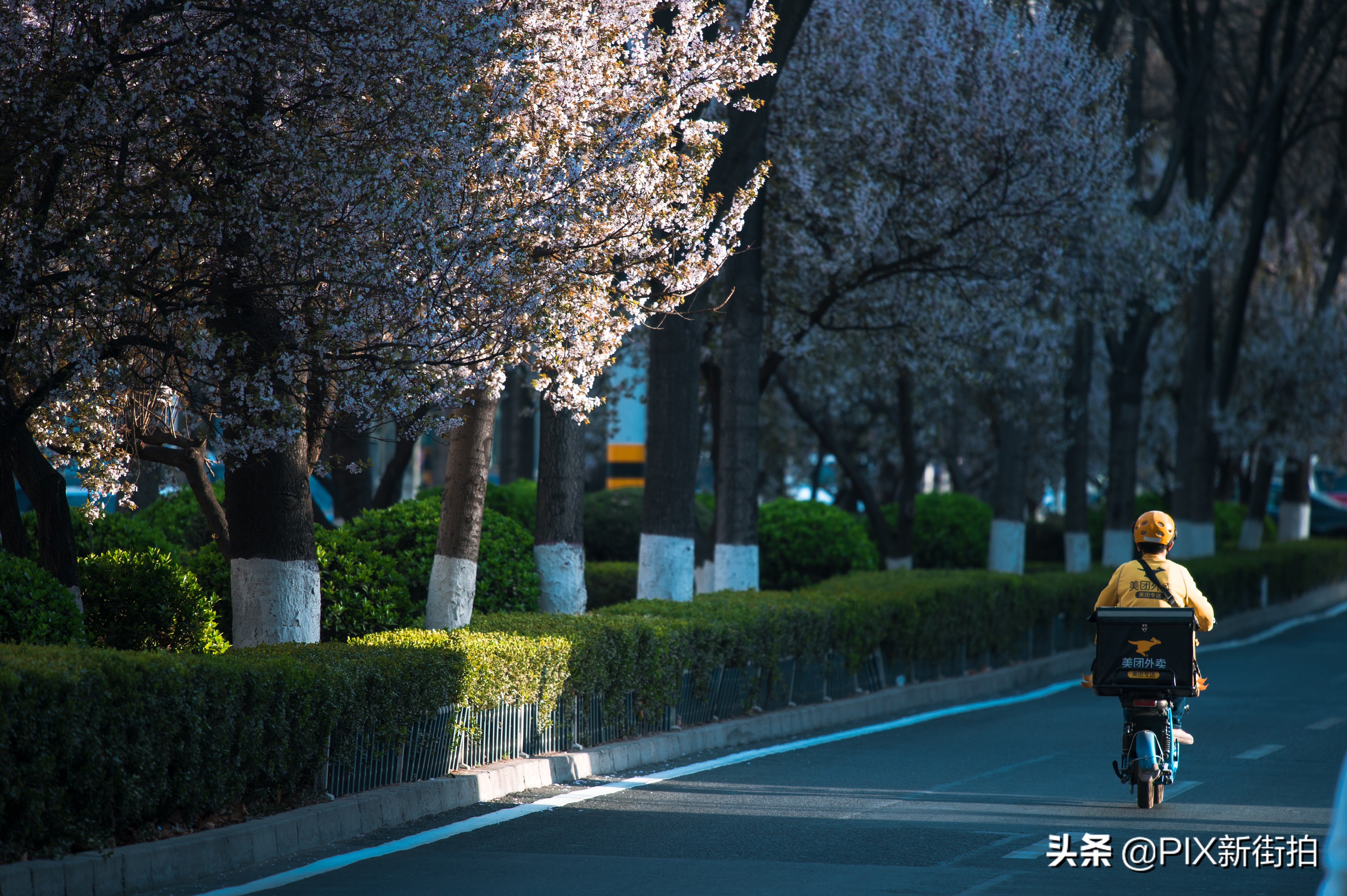 尼康70-300mmf4.5-6.3画质测评,尼康70-300和70-200f4的选择